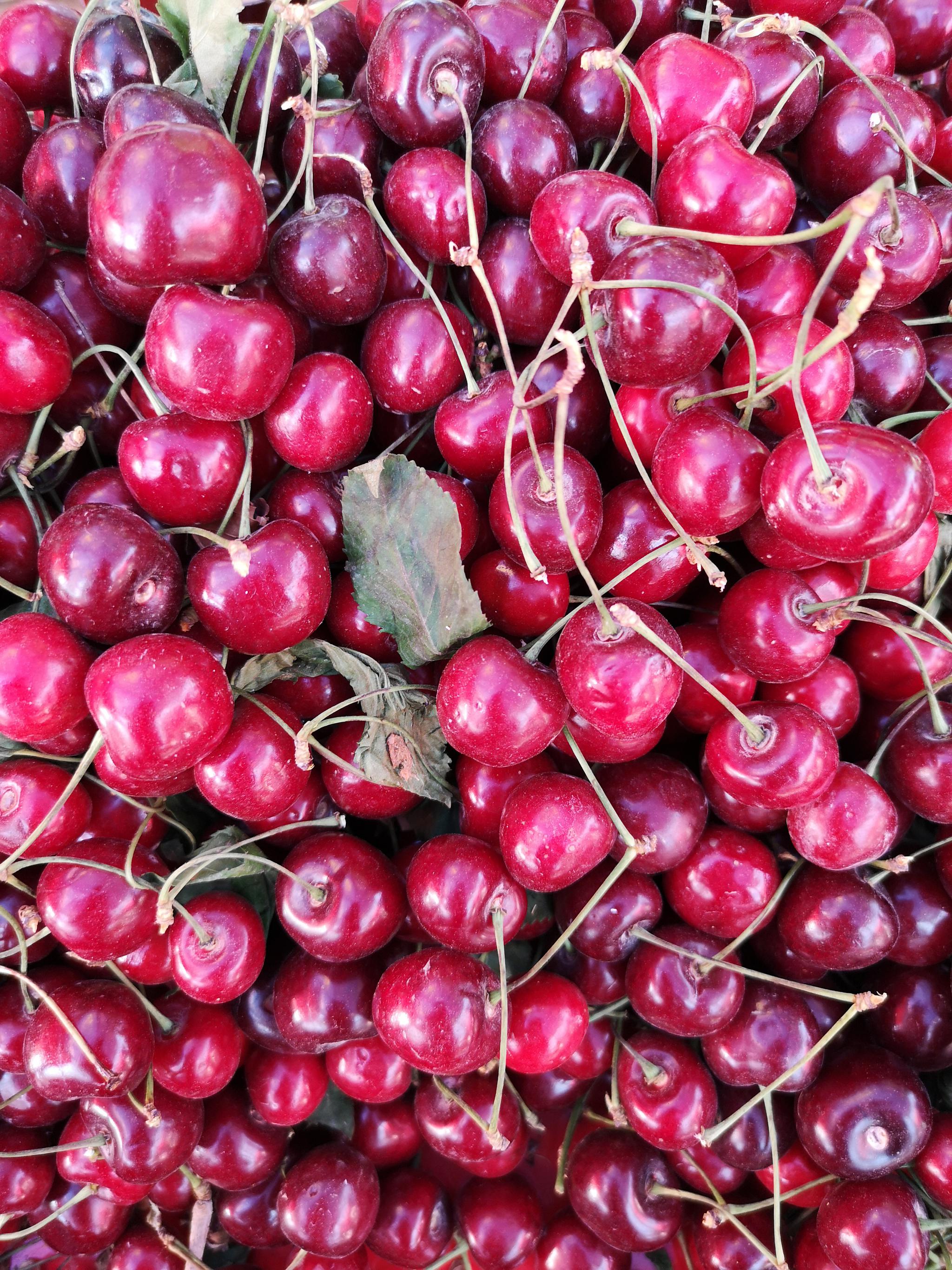 喀什的樱桃,吃过最好吃最甜的樱桃