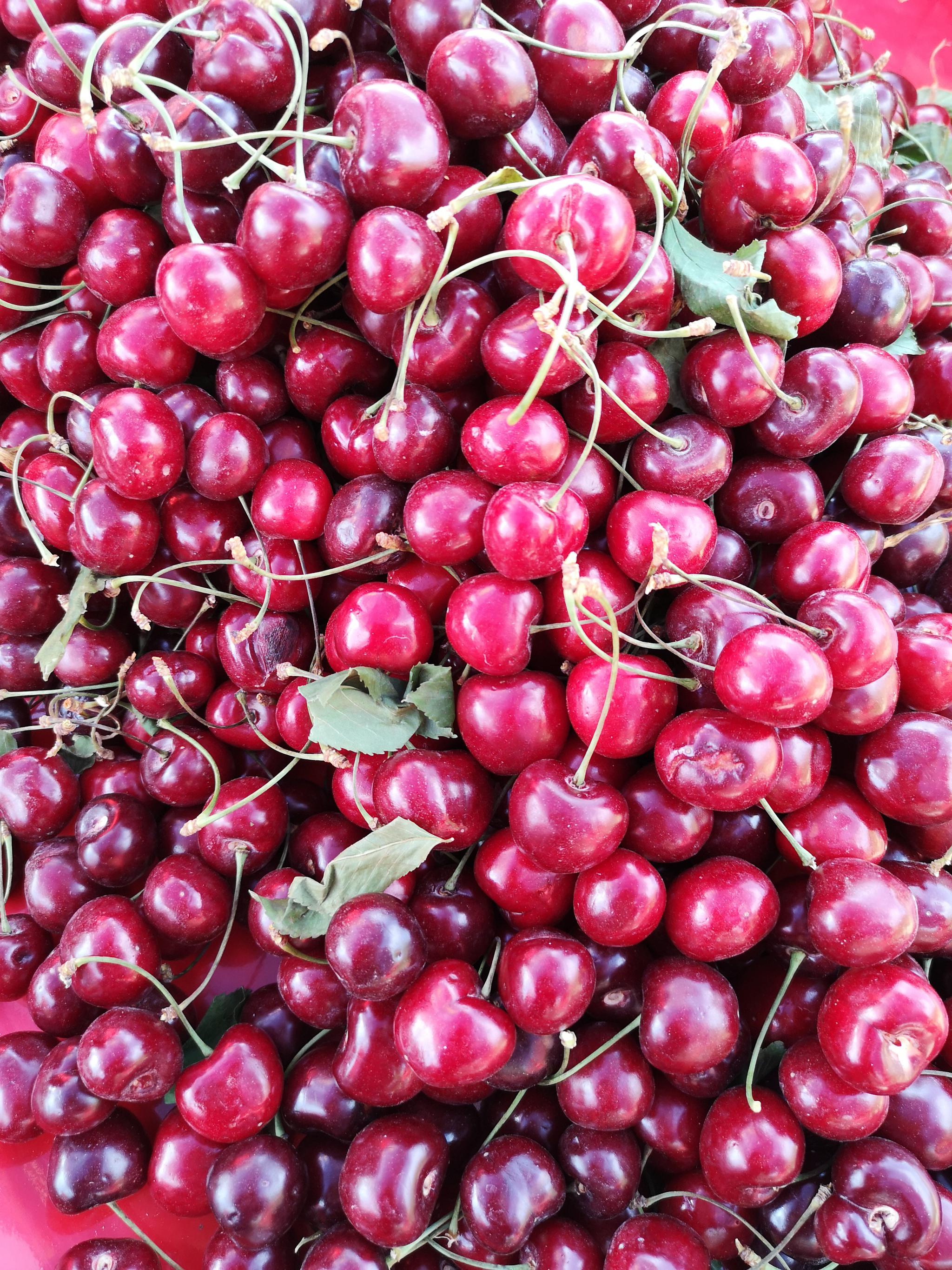 喀什的樱桃,吃过最好吃最甜的樱桃