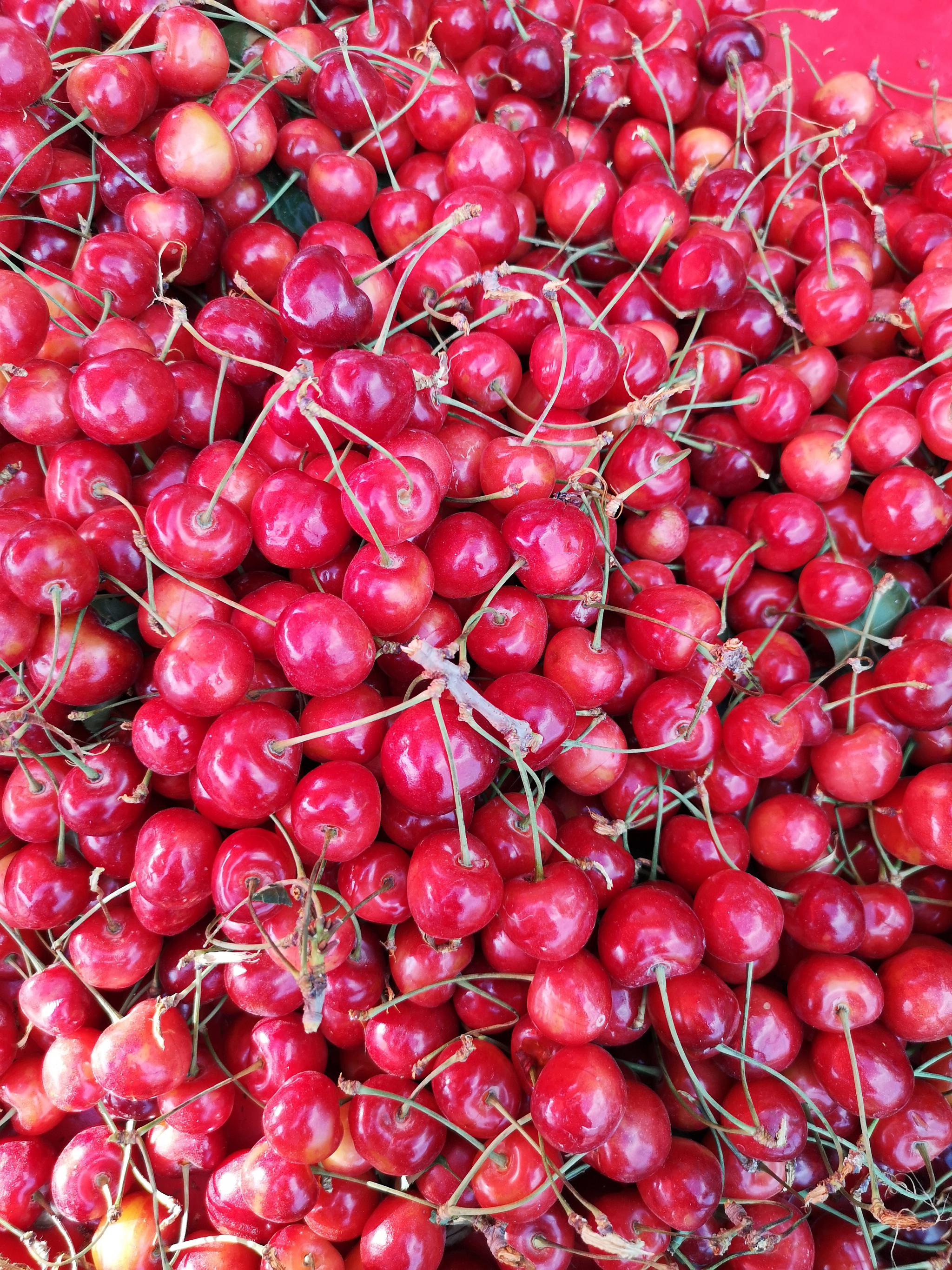 喀什的樱桃,吃过最好吃最甜的樱桃