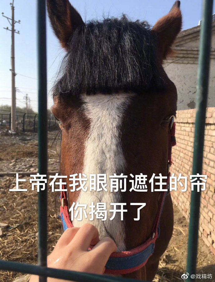 给马剪齐刘海哈哈哈哈哈哈哈哈哈哈哈哈哈哈哈哈哈哈哈哈哈哈哈哈哈哈