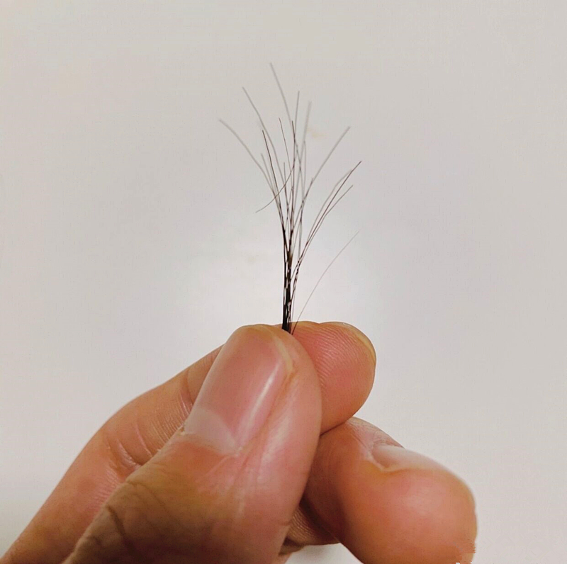 二月二的tony老师:肖战剪一撮儿,陈学冬拔一根,难度系数数他高