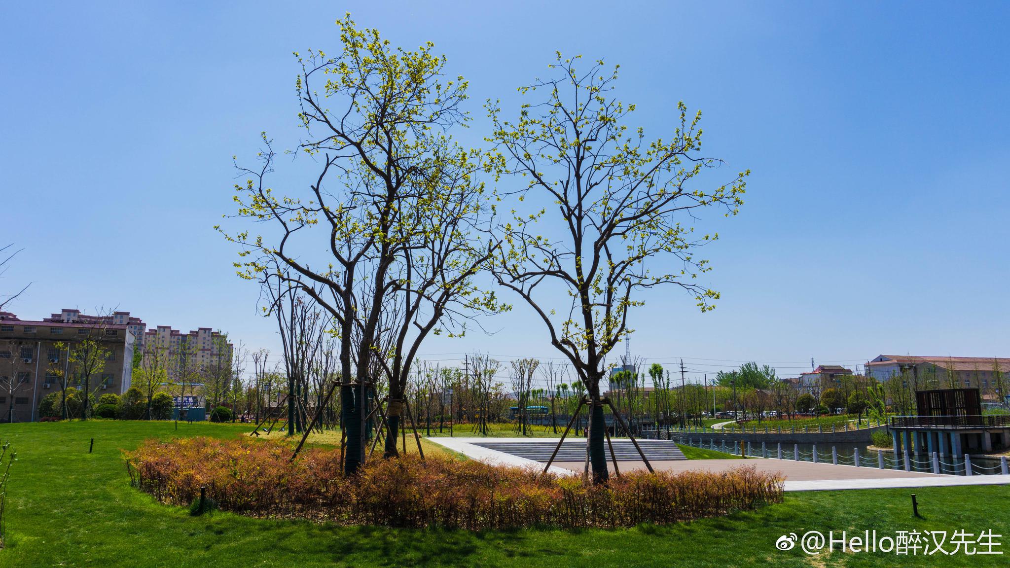 萧县龙河变化超级大去年来的时候还是臭水沟现在水越来越清澈 摄影