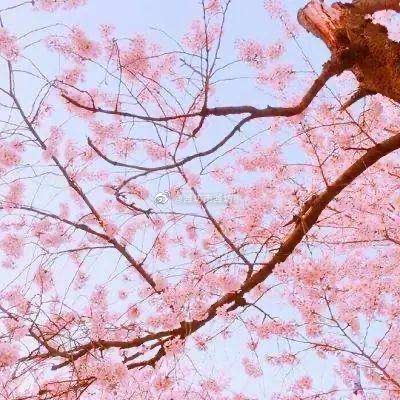 中老年微信头像__财经头条