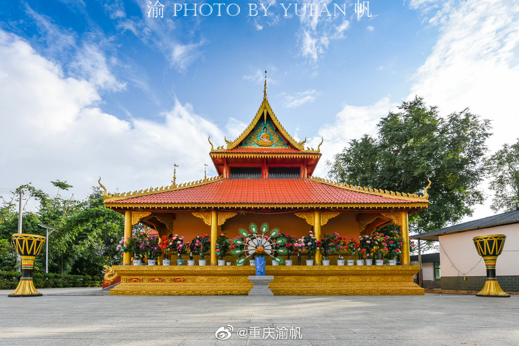 云南临沧市双江县那洛村,是一个典型的傣族村寨,村子里鲜花铺地