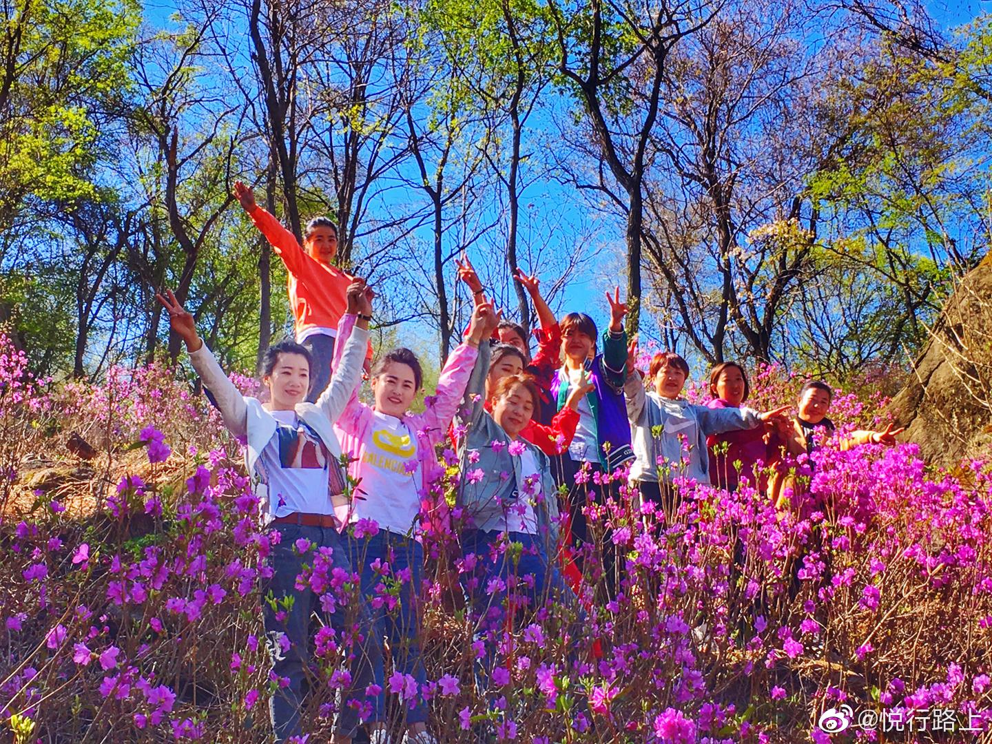本溪大石湖老边沟风景区万亩杜鹃花海