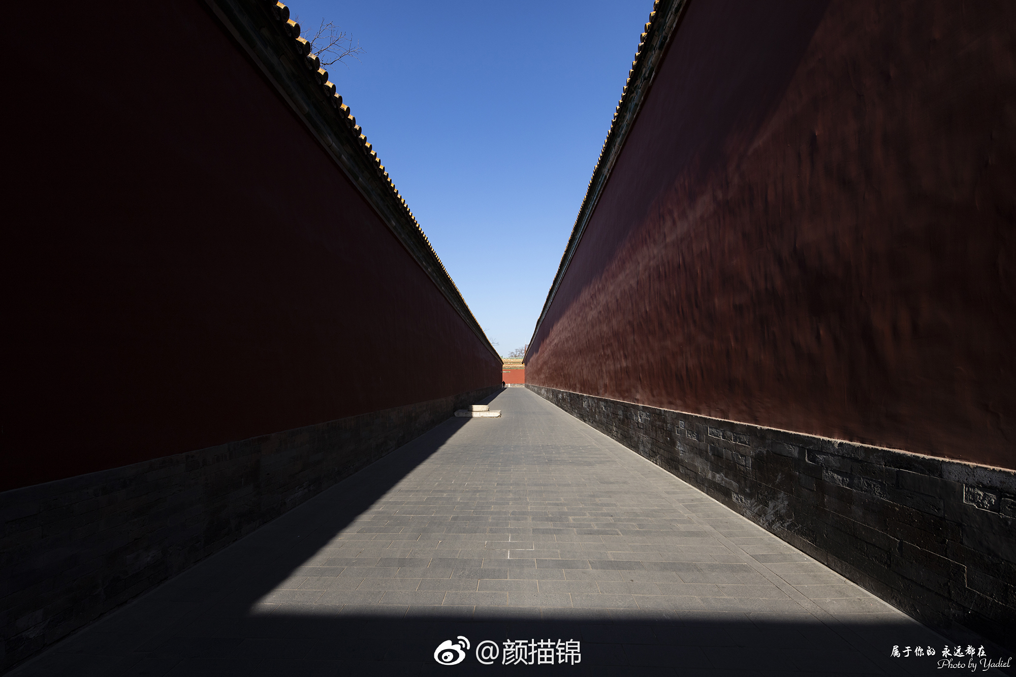 汉白玉阶斑驳琉璃宫瓦憔悴承受了太多宿命的冷落你难耐如今的燕舞