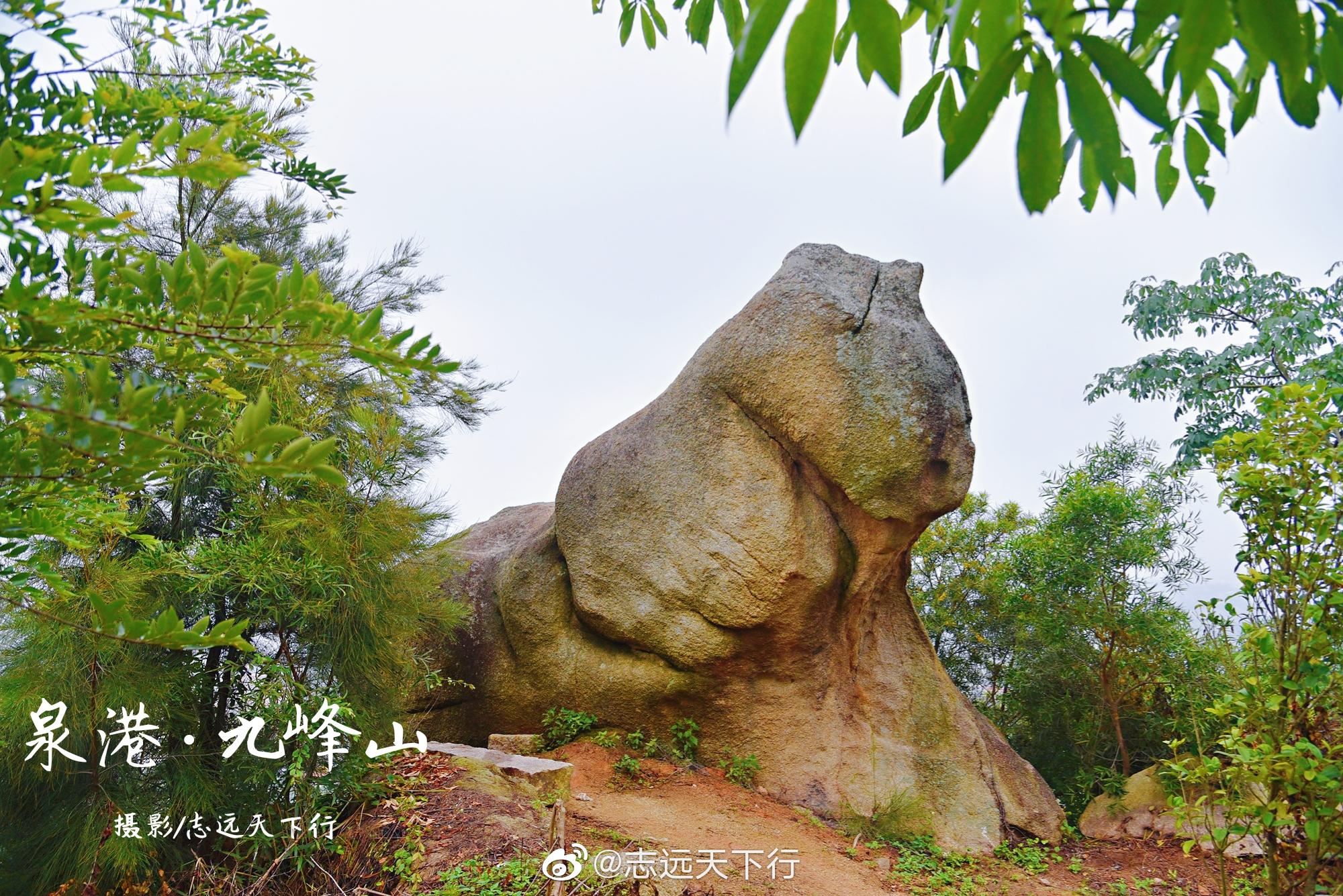 九峰山位于泉港区界山镇鹅头村,海拔仅131米