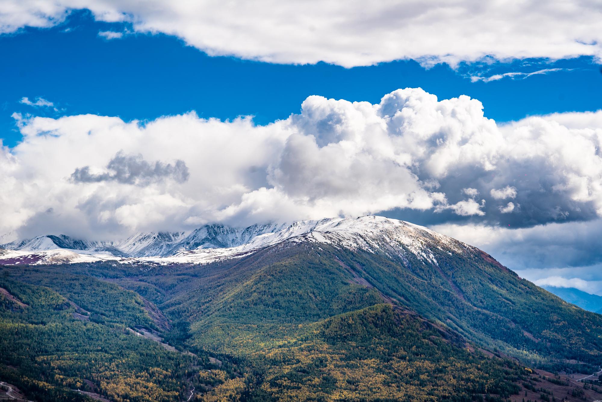 喀纳斯:三湾一湖一村,北疆最傲人秋色|卧龙湾|喀纳斯|大自然_新浪新闻