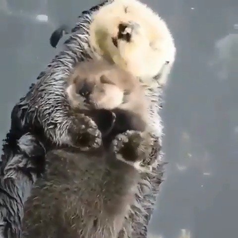 晚安 3 晚安 3