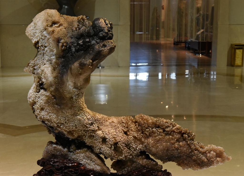 内蒙古阿拉善大漠奇石文化博物馆内琳琅满目的奇石精品真亮眼