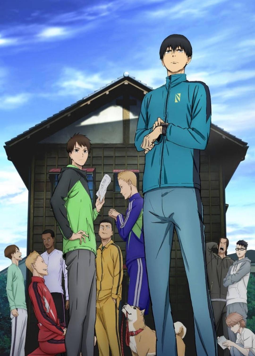 有追动漫强风吹拂的嘛感觉好没人气啊