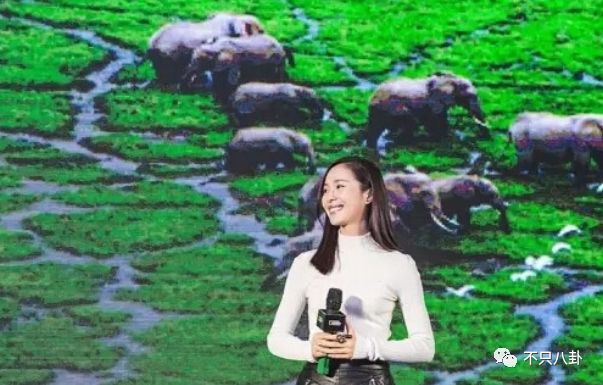 才子才女人设易翻车？江一燕获奖被翻旧账群嘲?专业和爱好要分清