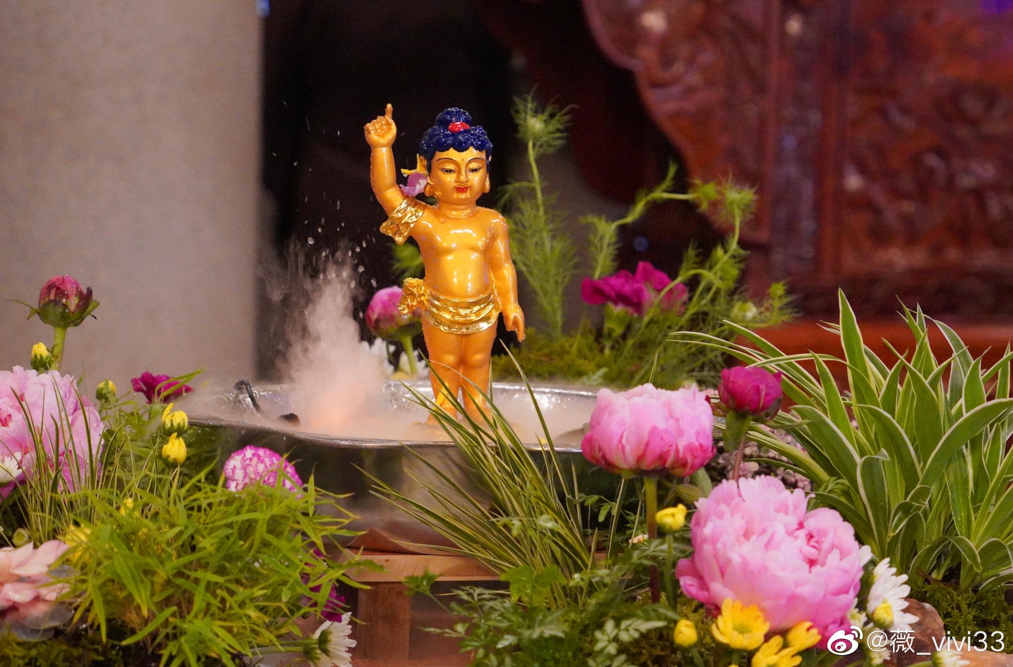 南普陀浴佛节12岁女儿的摄影作品