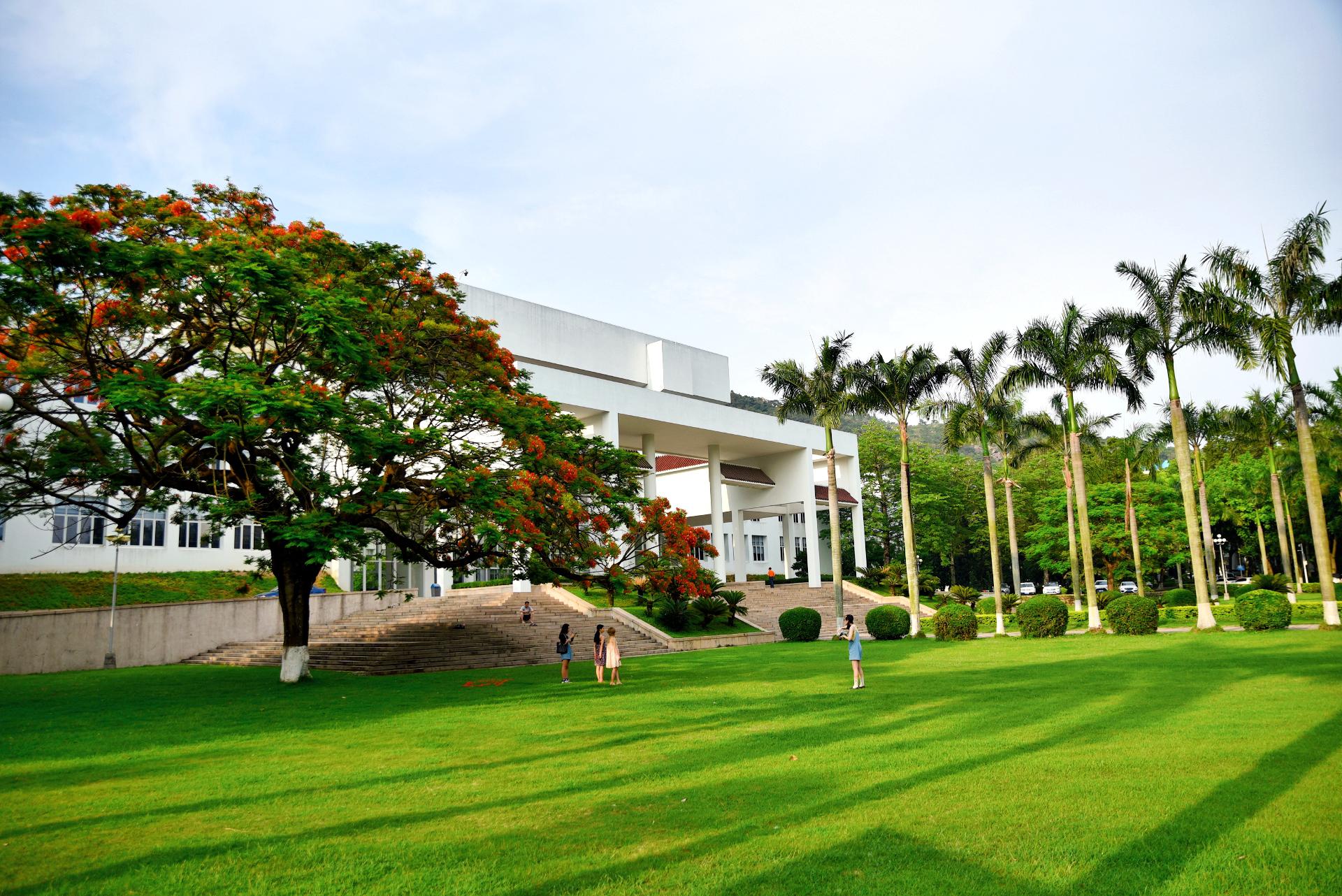 今天我去了一趟汕头大学它就是一个神话凤凰花是汕大的校花