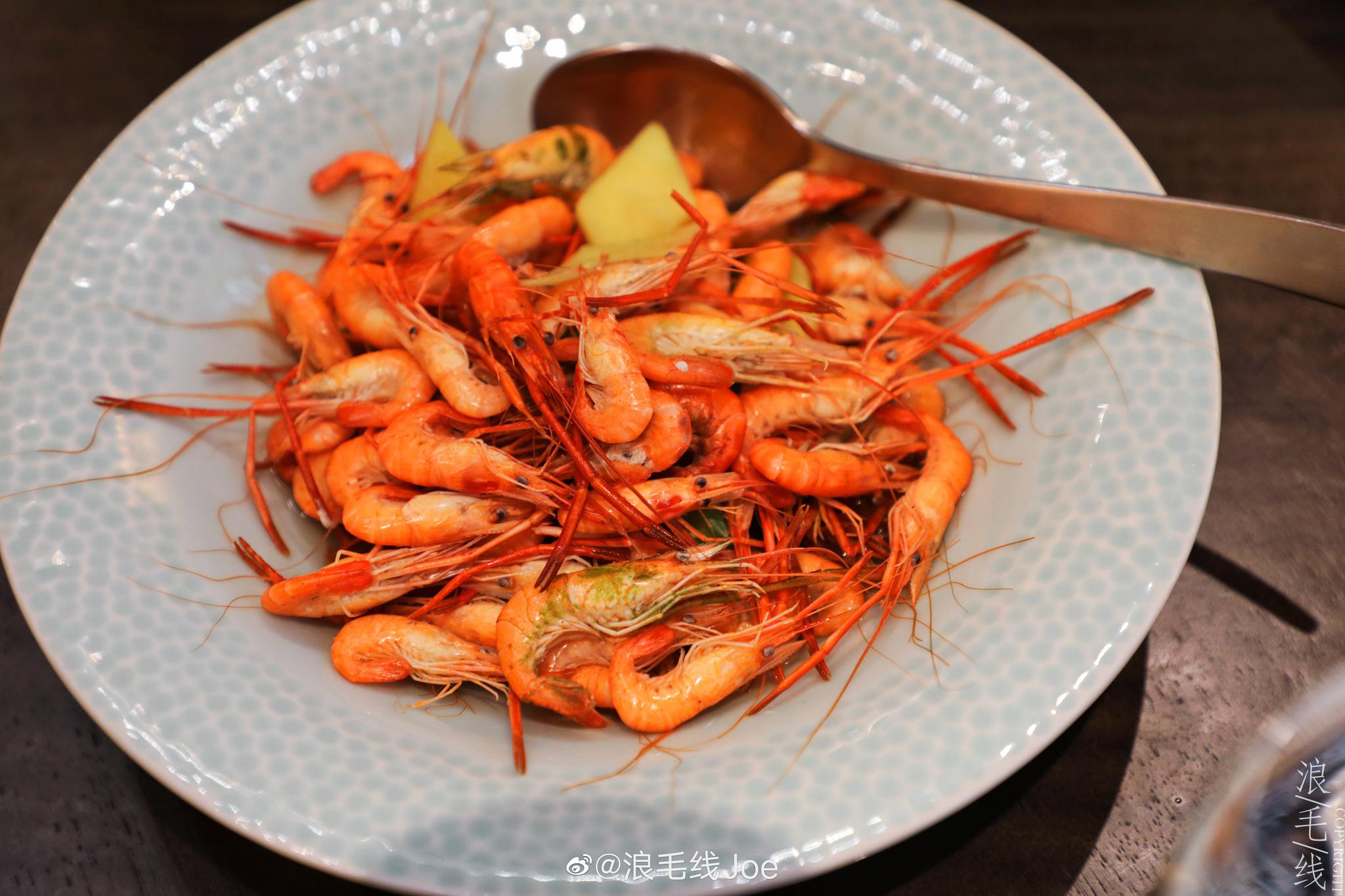 四川千娇论坛贴吧入门指南与深度解析