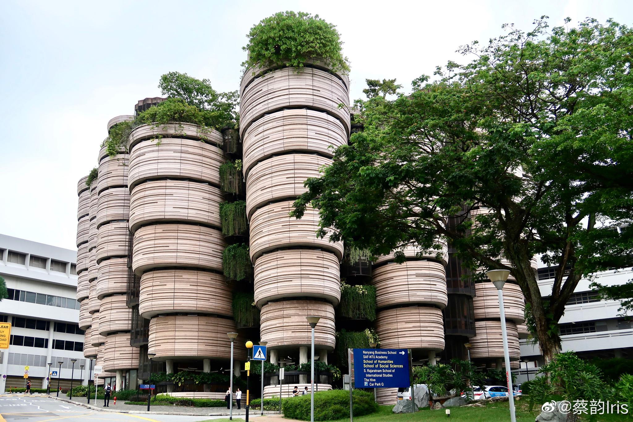 戏称为"小笼包"的建筑,真名叫「hive蜂巢」,位于ntu新加坡南洋理工