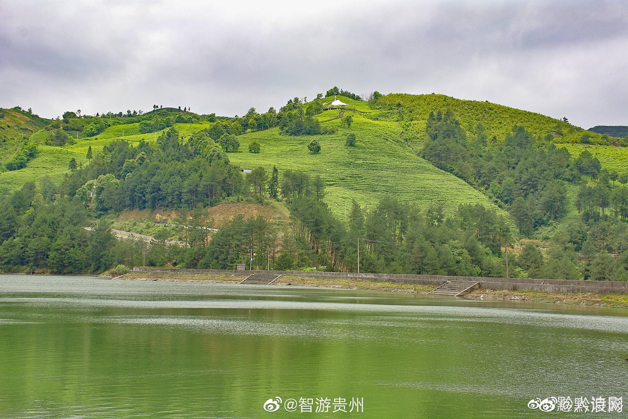 贵定云雾镇虞美人~夏游