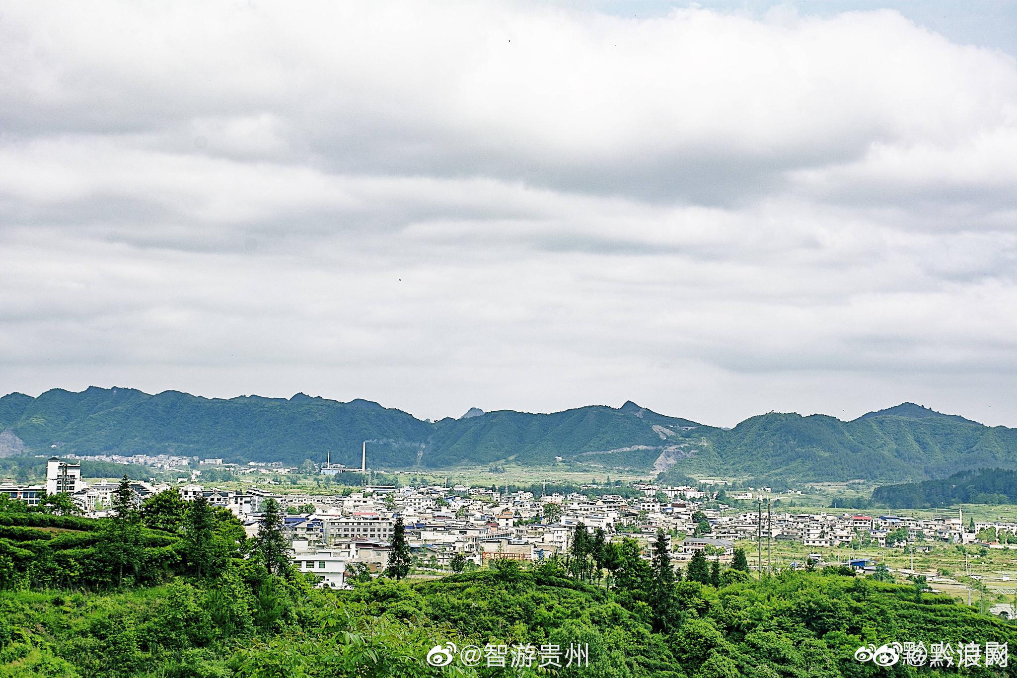 贵定云雾镇虞美人~夏游