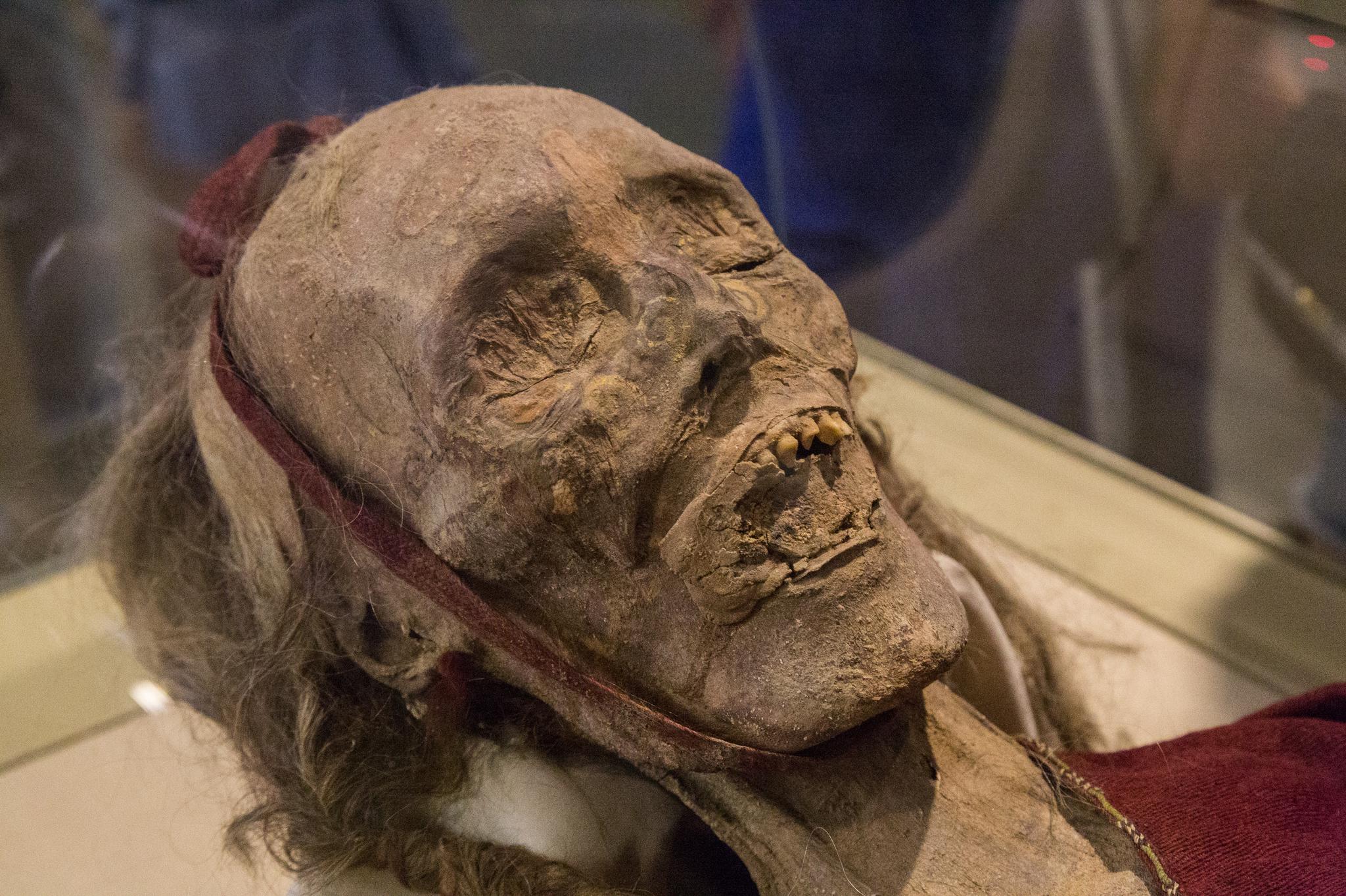 新疆博物馆 木乃伊  2018/7拍摄无水印大图特写,可以惠存.