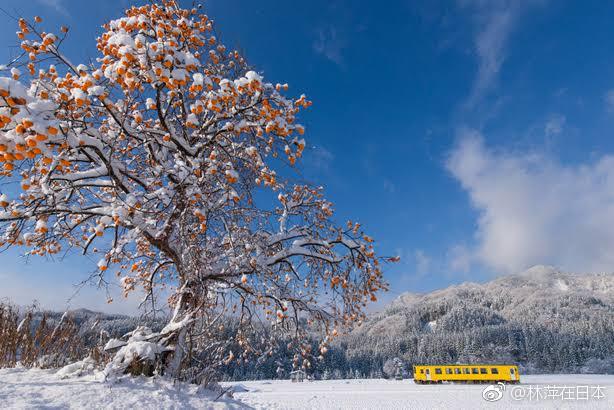 日本秋田大館东京出发三日游行程 完全是我自己喜好分享