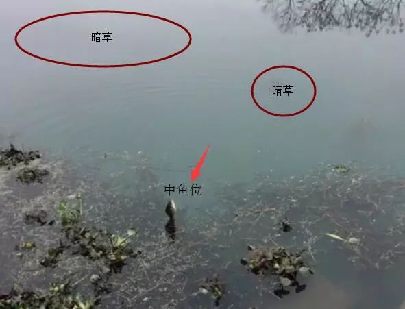 天冷鲫鱼多半藏在这3个地方找到了鱼窝收获还会差吗