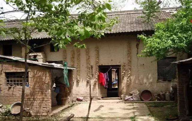 啥用都没有,不过真有老农这么做过,之后自家院子里还真就没再见过蛇了