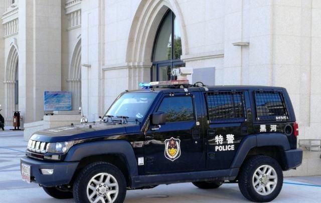 最适合当警车的四款国产车