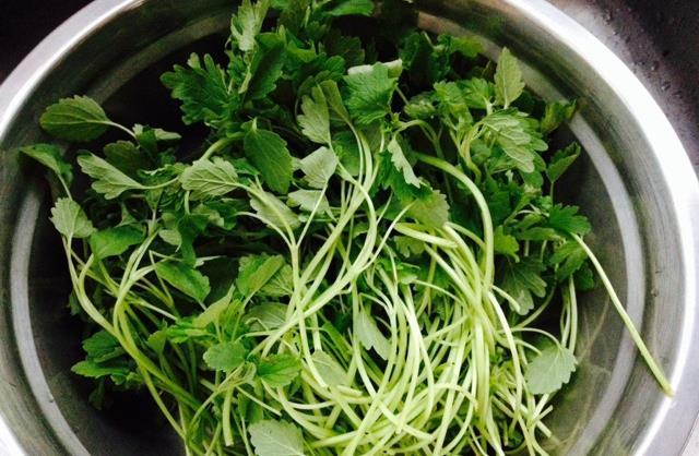 看这野菜像"香菜",却跟香菜味儿不同,2块钱买一把比吃红枣好