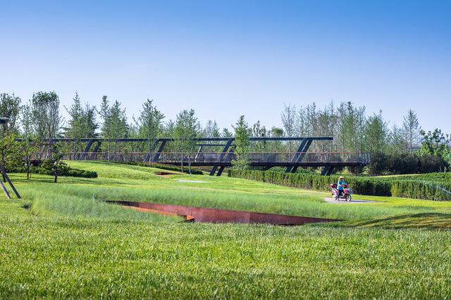 陕西西安沣河湿地生态公园景观