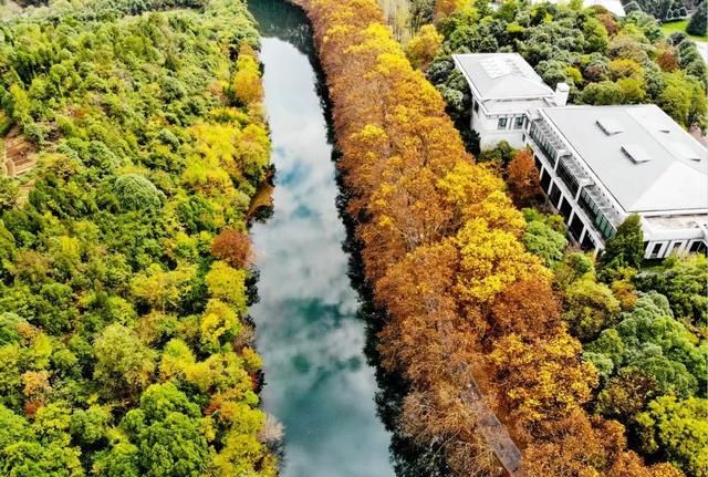 航拍的花溪黄金大道