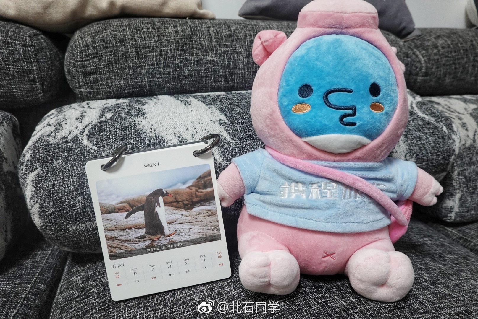 郑老师的面膜,我天,情感博主 大老板就是这么懂人|郑在秀|石子|柯乐