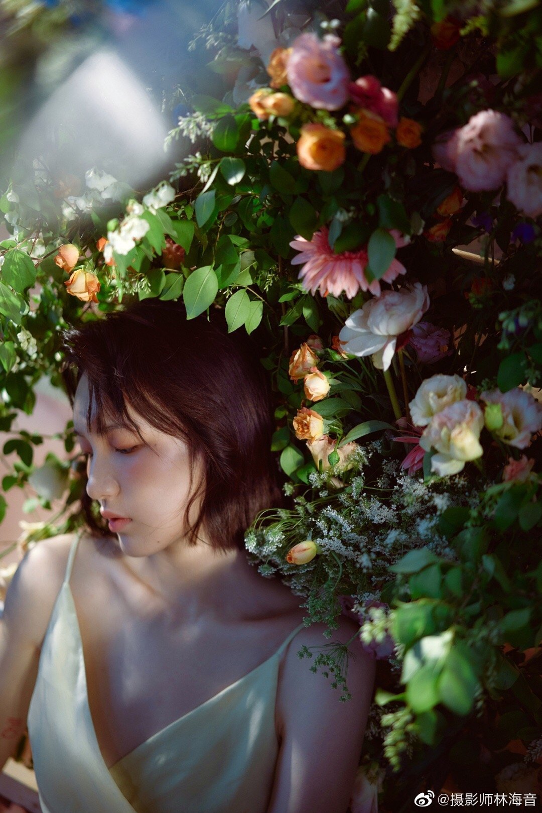 盛夏的花78摄影师林海音