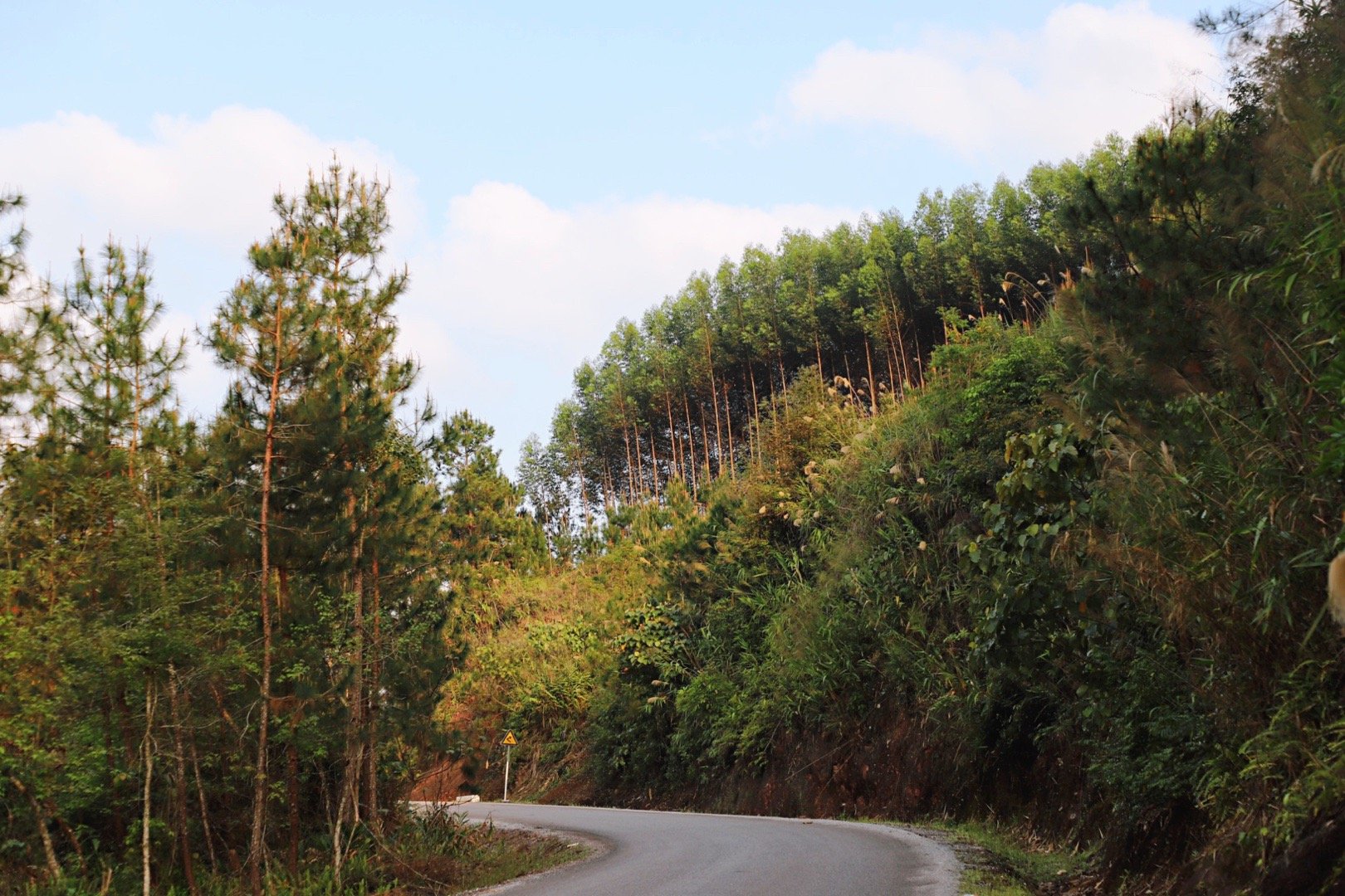 趴够海边进山了,广西s325省道,中越边境公路