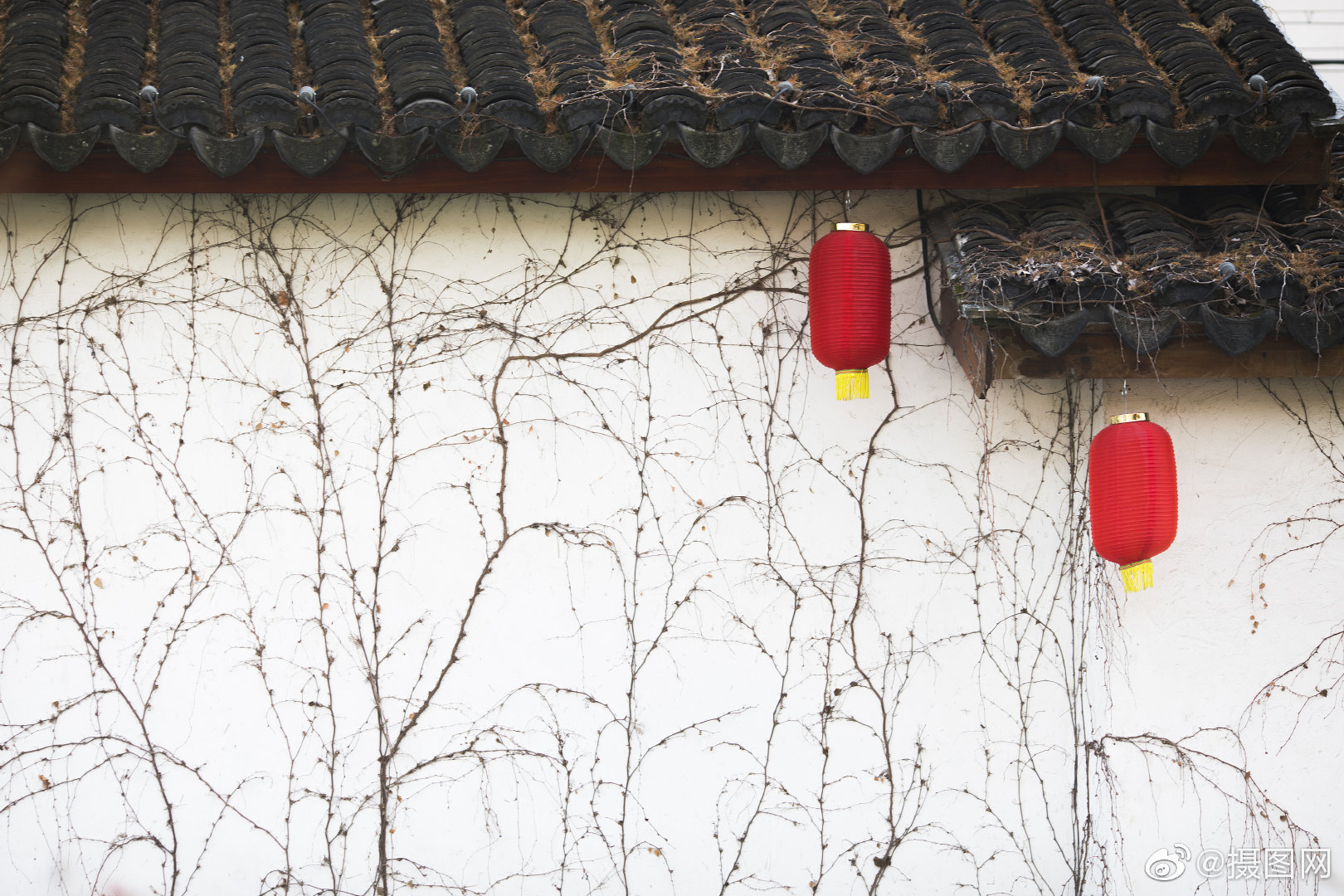 白墙黛瓦,犹如一幅幅水墨画,只寥寥几笔便把江南韵味都勾勒出来~版权