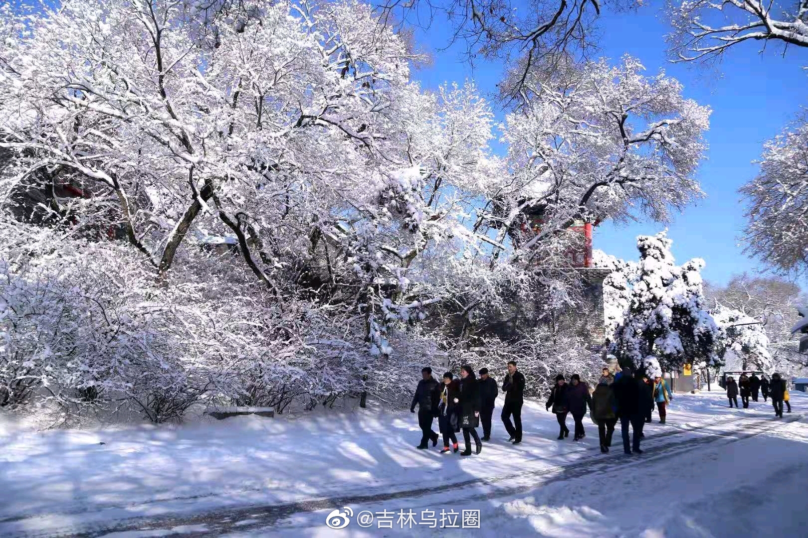 吉林市北山秀雪色引八方游客游玩摄影