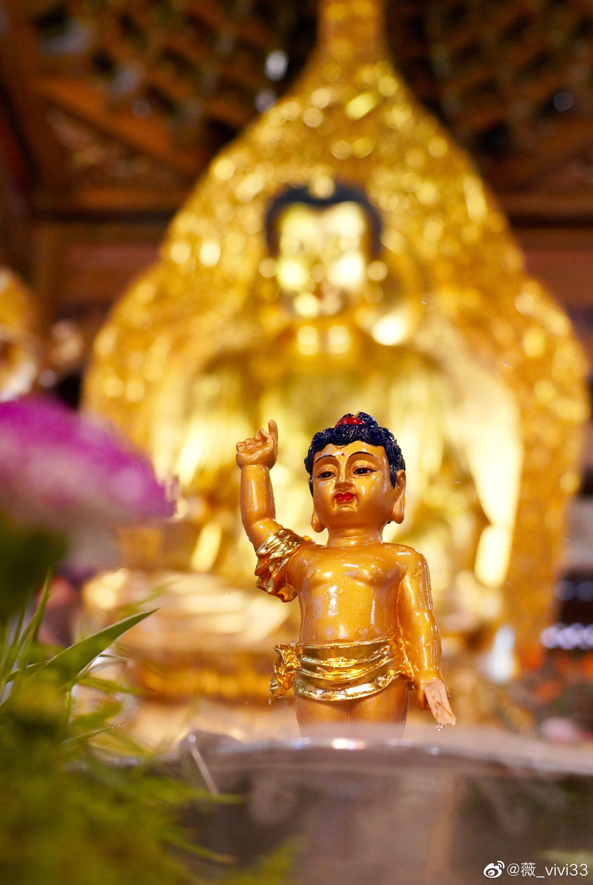 南普陀浴佛节12岁女儿的摄影作品