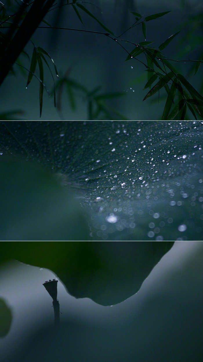 深入了解不同的文化英语