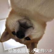 才子才女人设易翻车？江一燕获奖被翻旧账群嘲?专业和爱好要分清