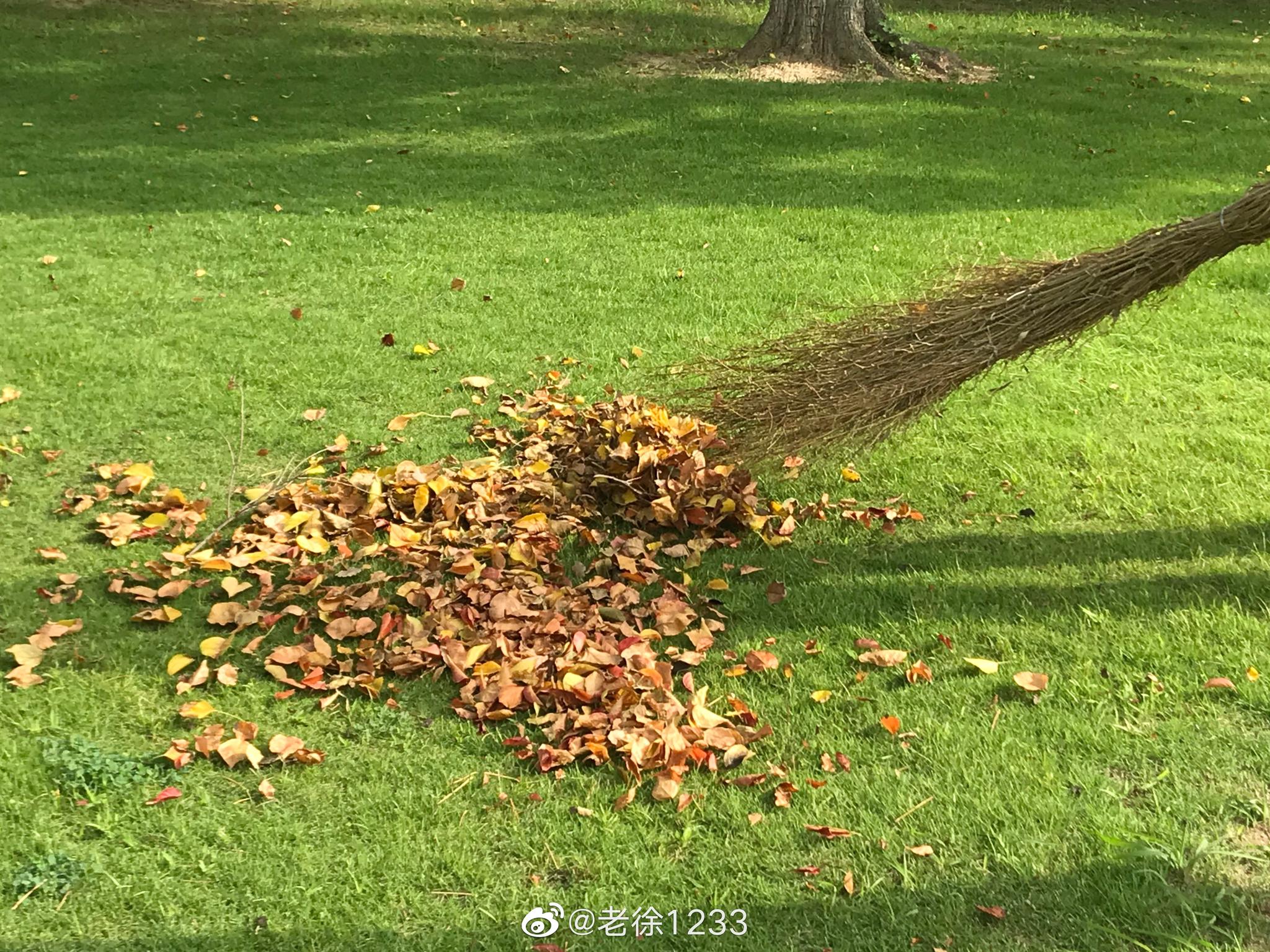 扫落叶|钵池山公园|刘禹锡|淮安_新浪新闻