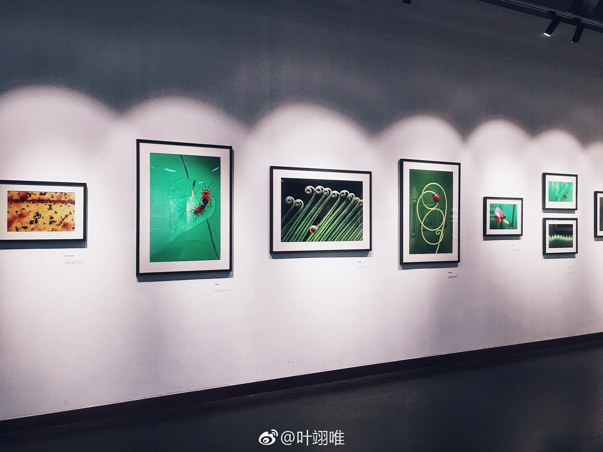 自然回响—袁明辉微缩摄影展.小型影展,超棒哒!