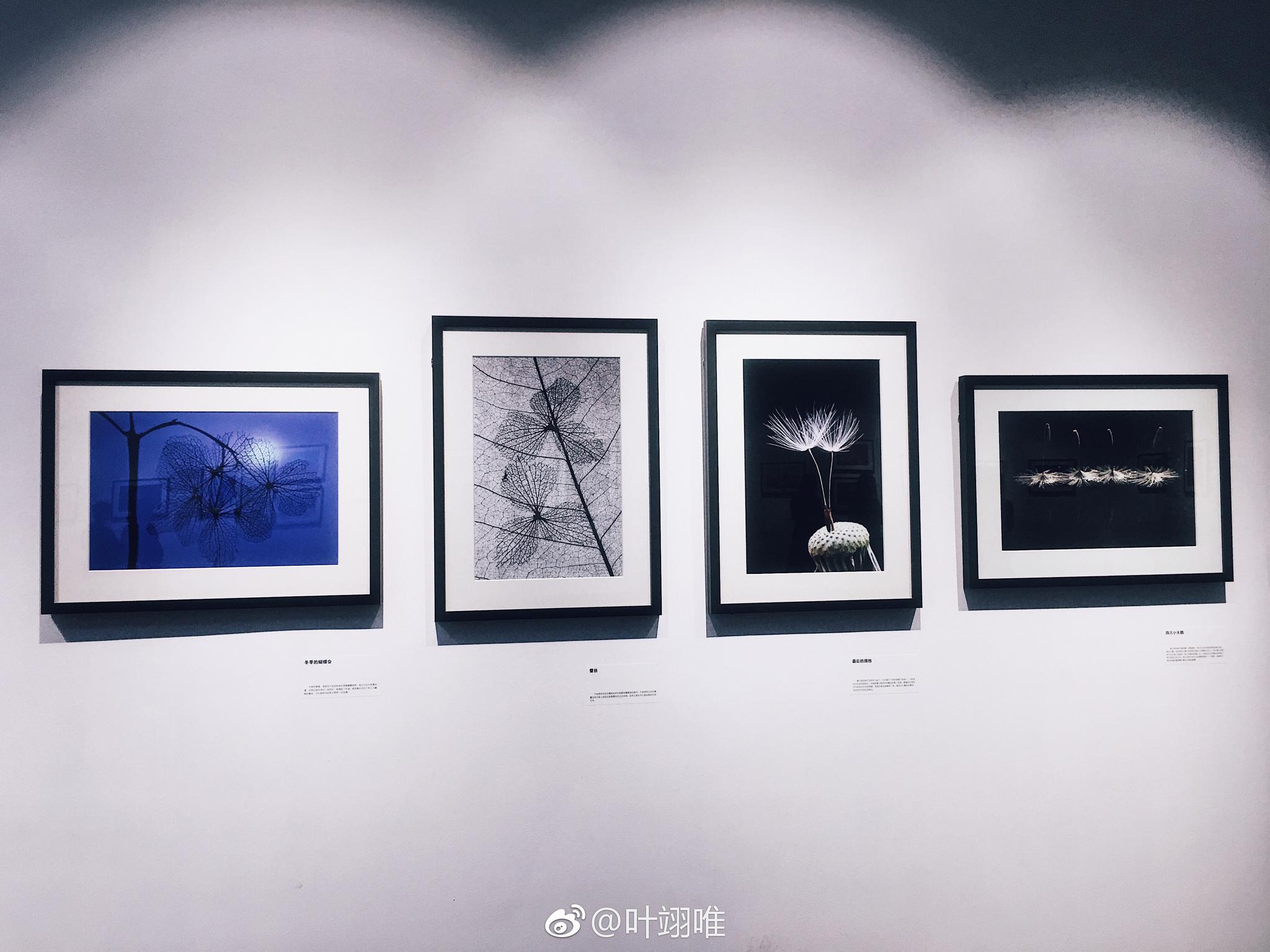 自然回响—袁明辉微缩摄影展.小型影展,超棒哒!