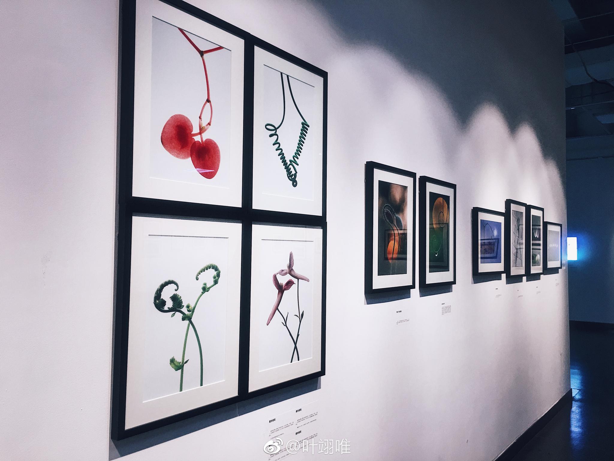 自然回响—袁明辉微缩摄影展.小型影展,超棒哒!