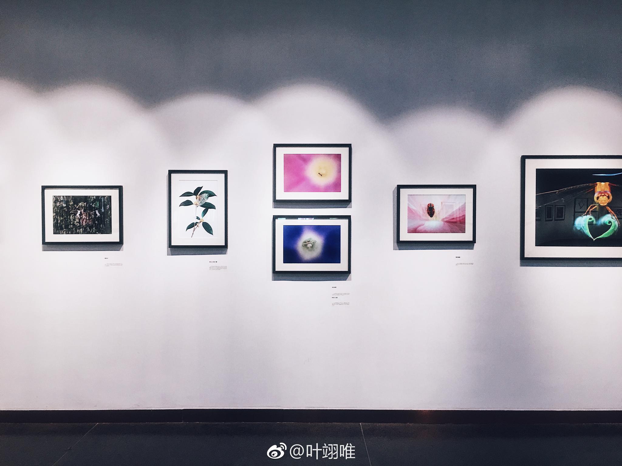 自然回响—袁明辉微缩摄影展.小型影展,超棒哒!