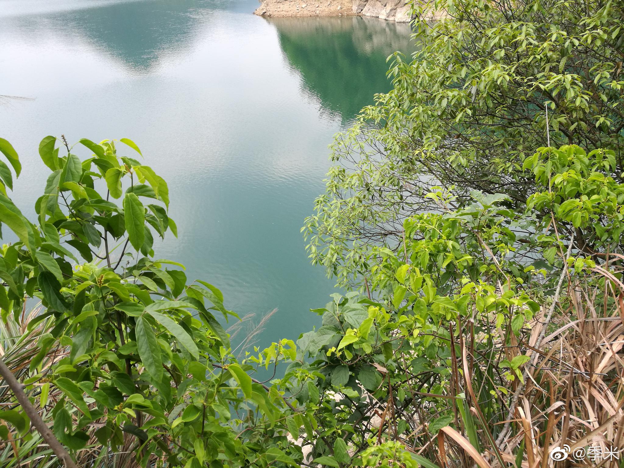 常山对坞村王氏宗祠芙蓉水库黄塘村油茶小镇