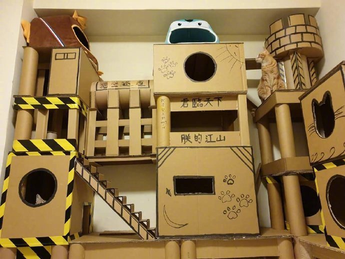 女主人的男友帮自家猫咪用盒子做的豪华猫城堡 太厉害了.