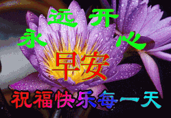夏季早上好表情问候祝福动态图片早安问候语图片带字温馨