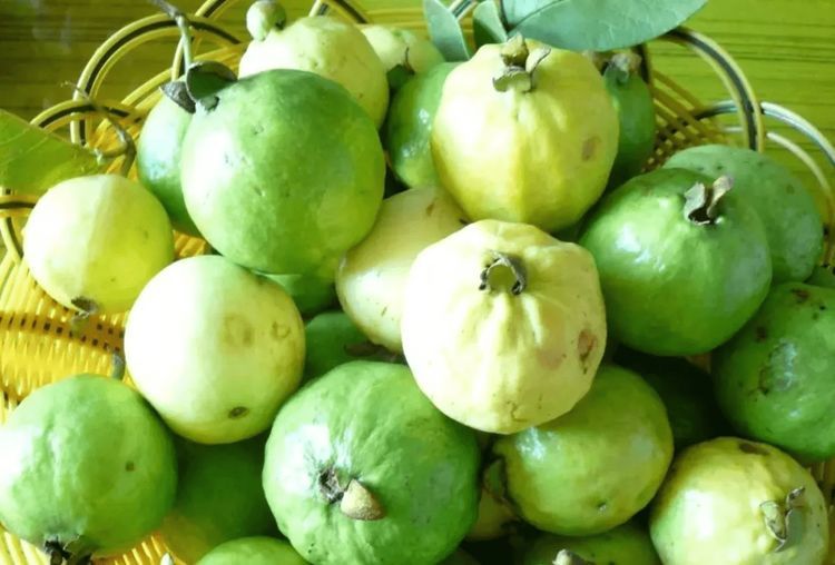 农村路边的这果子,吃起来爽口清甜,小时候经常爬到树上摘果子!