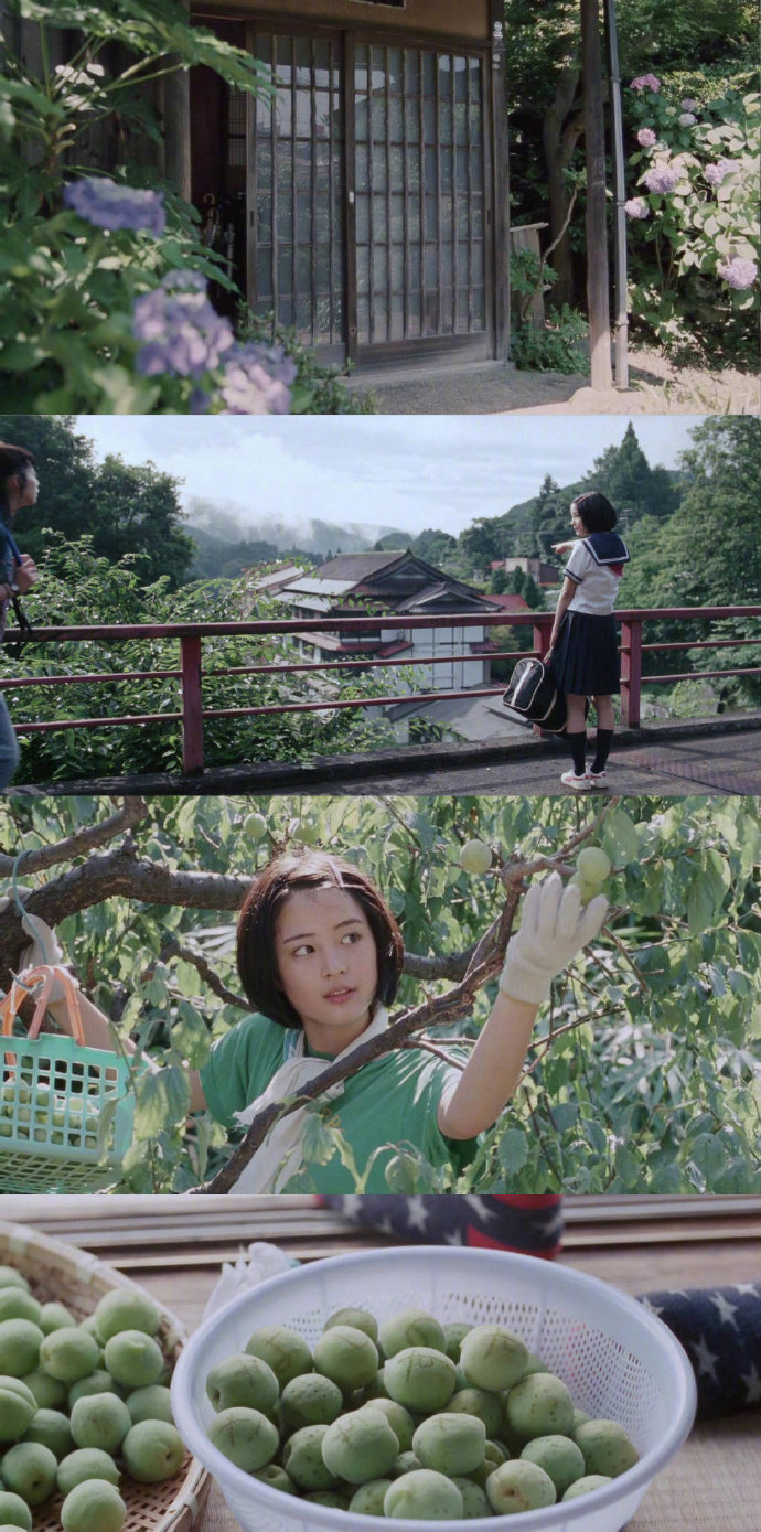 是枝裕和的夏天.|是枝裕和_新浪新闻