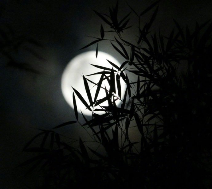 花时金谷饮,月夜竹林眠.晚安