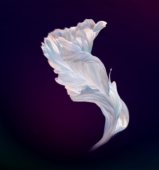 本次为大家分享华为nova 4手机壁纸共14张,每张的分辨率均为2160*2310